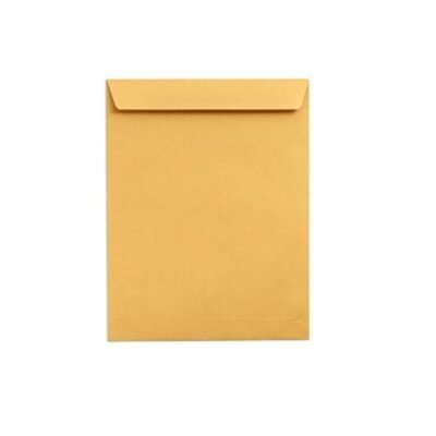 Brown Envelope A4